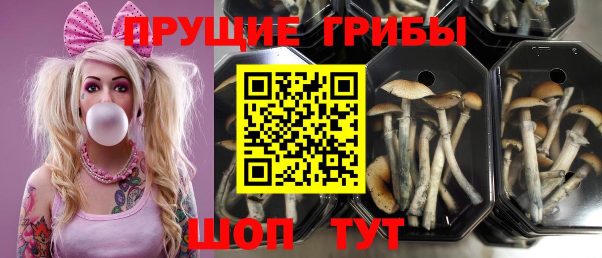 Псилоцибиновые грибы ЛСД Фурманов