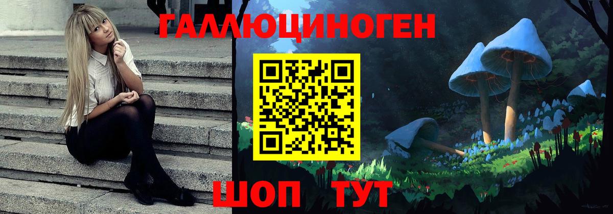 Галлюциногенные грибы Psilocybine cubensis  Вход с VPN  Фурманов  Псилоцибиновые грибы MAGIC MUSHROOMS 